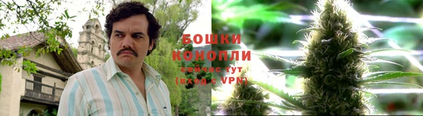 винт Абаза