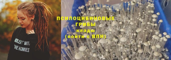 2c-b Абинск